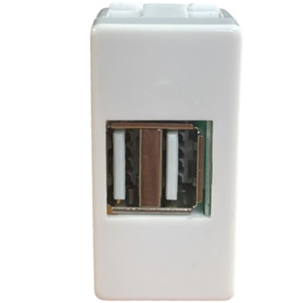 ابريز شاحن 2 يو اس بي يركب على الجيفز USB A *2